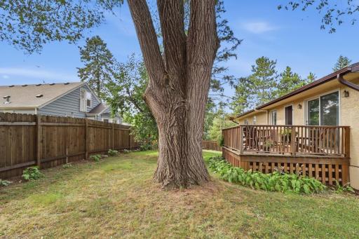 Fully Fenced Backyard