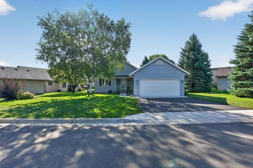 Asphalt driveway-mature trees