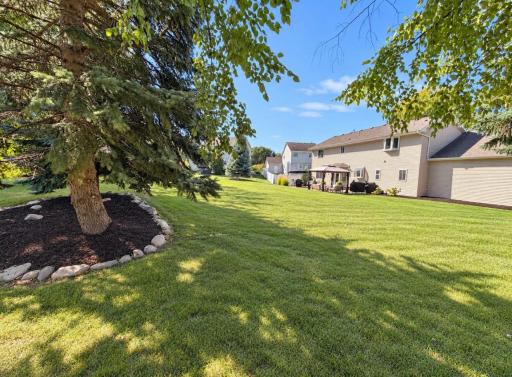 Back yard