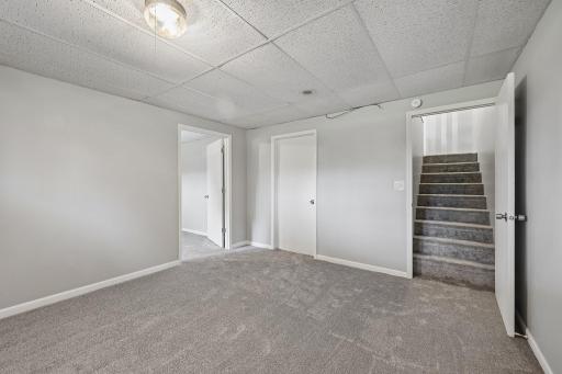 Lower level family room