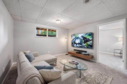 Lower level family room