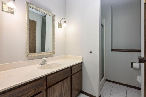 Lower Level Bath