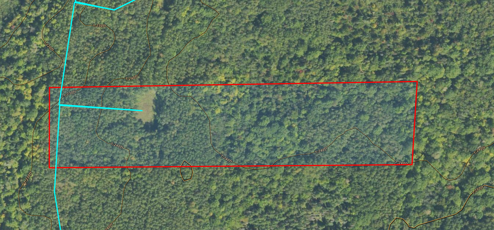 Parcel Map