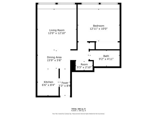 1920 S 1st Street, 408, Minneapolis, MN 55454