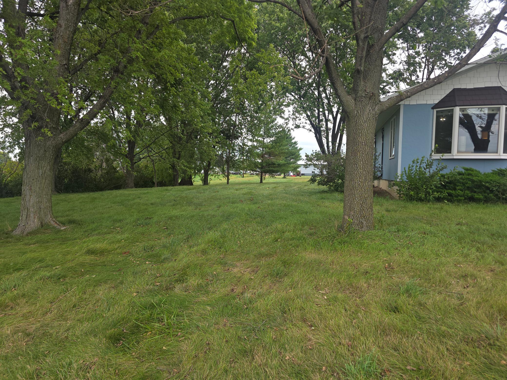 Huge side yard