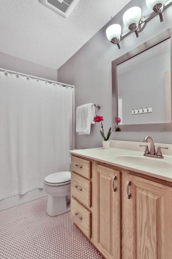 17408 Tessmer Court, Eden Prairie, MN 55347