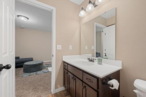 3062 Walden Drive, Chaska, MN 55318