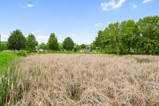 3062 Walden Drive, Chaska, MN 55318