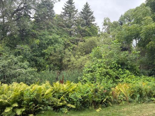 Patio view