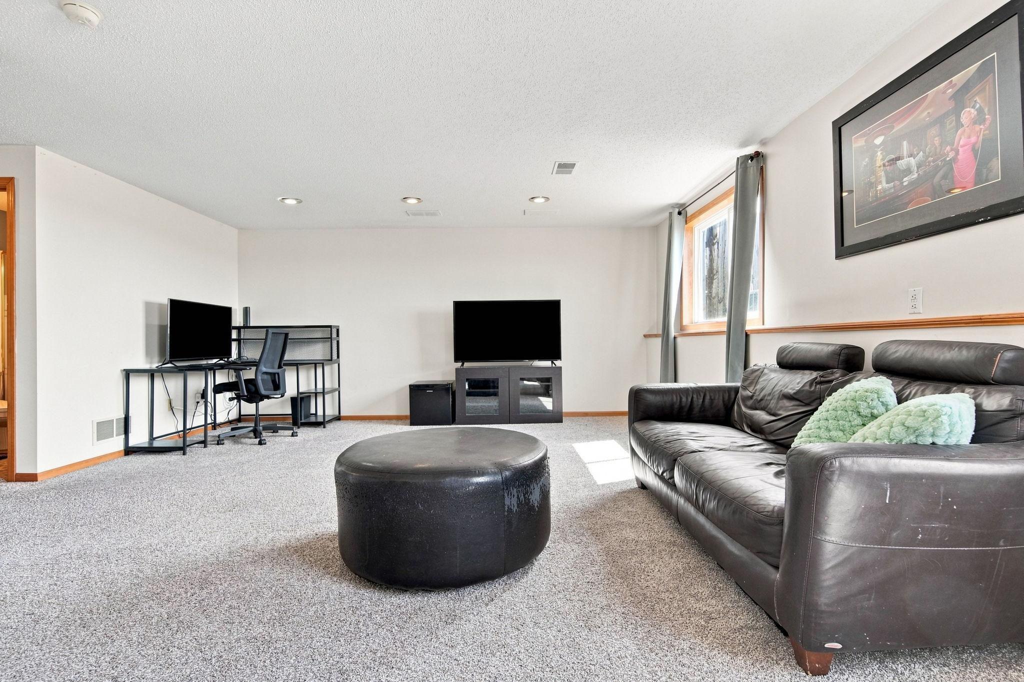 Lower Level Family Room
