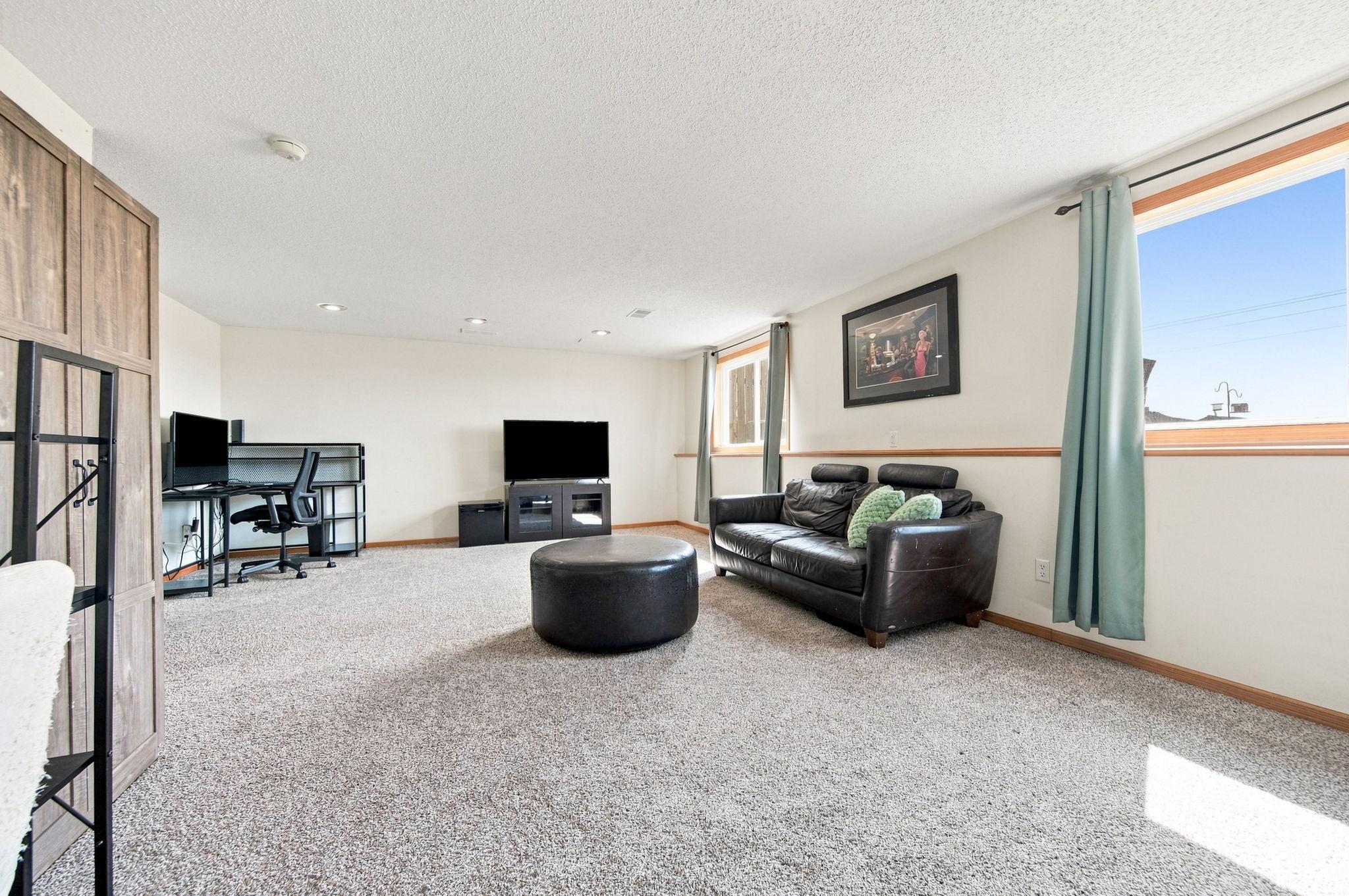 Lower Level Family Room