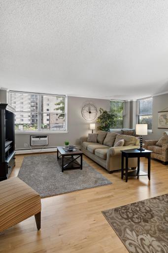 3150 Excelsior Boulevard, 103, Minneapolis, MN 55416