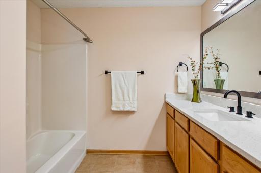 Big Primary walk-thru Bathroom