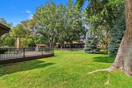 fenced backyard