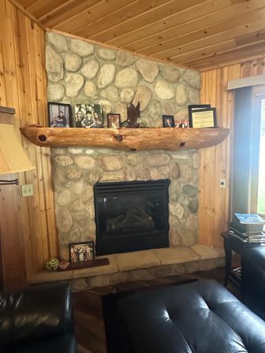 Living Room Fire place