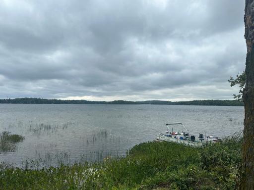 IMG_8358.jpeg