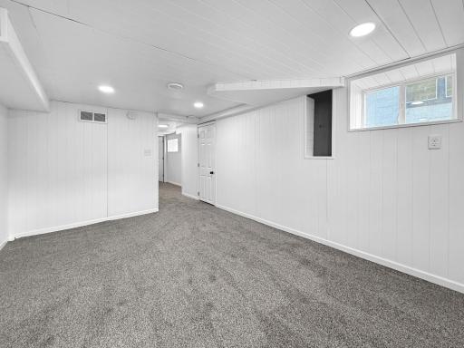 Basement family room