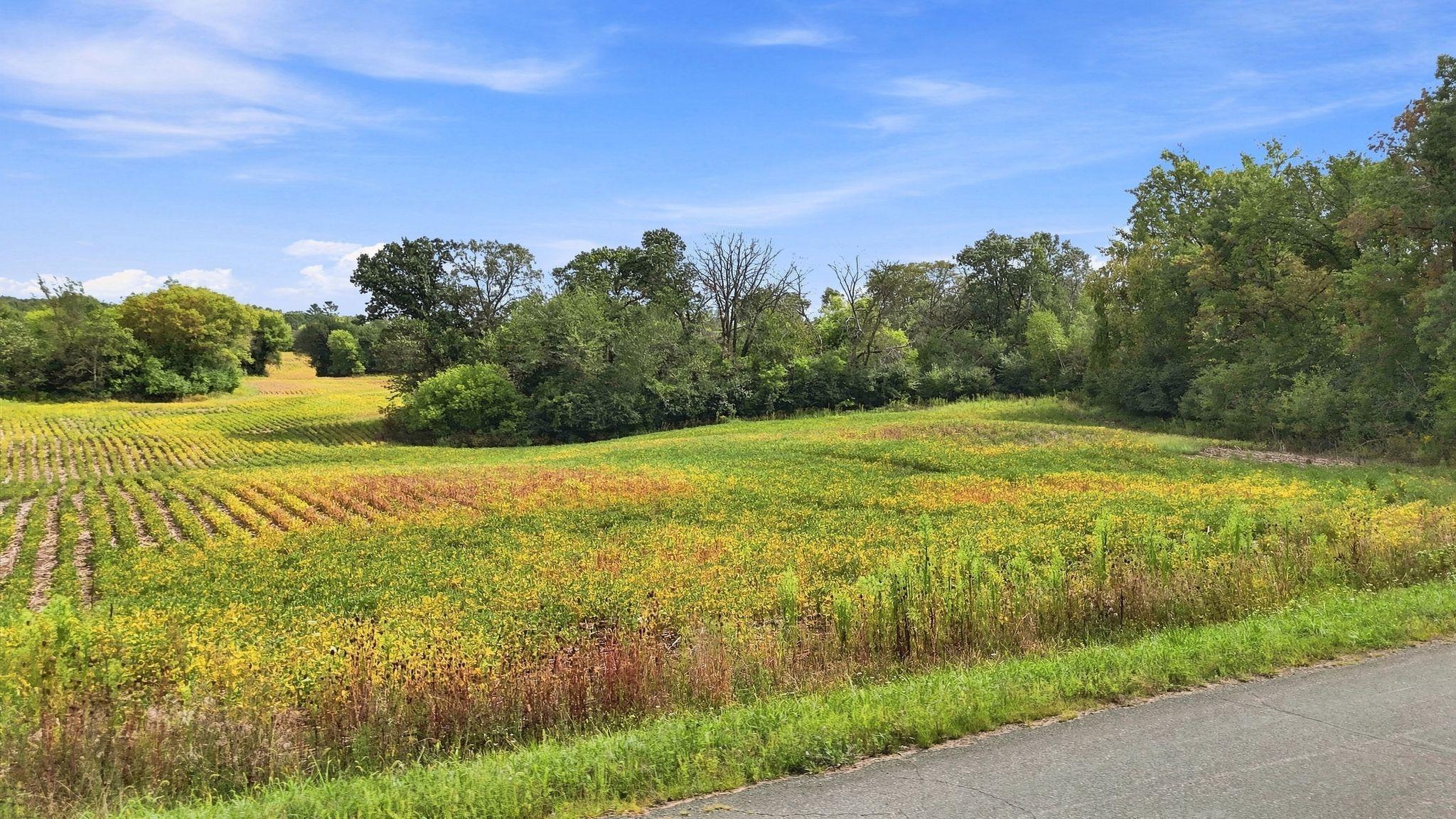 from road