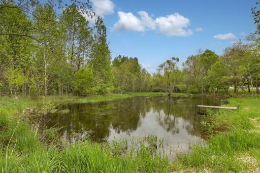 wildlife pond