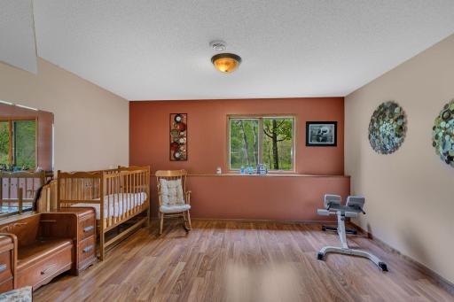basement flex space could be bed 5