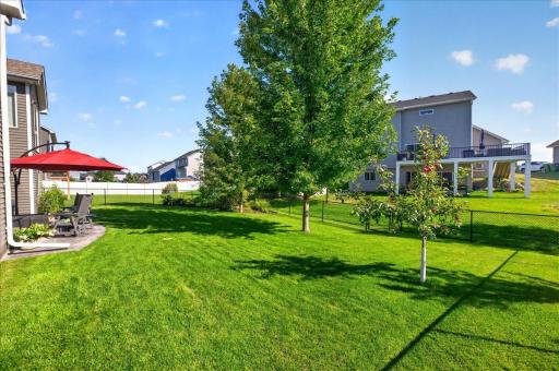 A Spacious Backyard Ready for Everyday Enjoyment