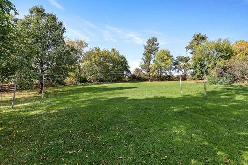 Large yard