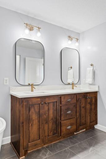 13273 Carlingford Lane, Rosemount, MN 55068