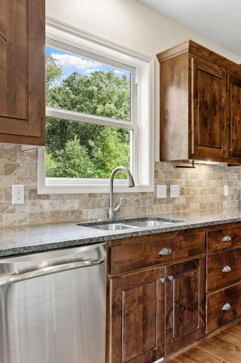 13273 Carlingford Lane, Rosemount, MN 55068