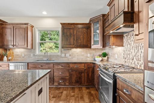 13273 Carlingford Lane, Rosemount, MN 55068
