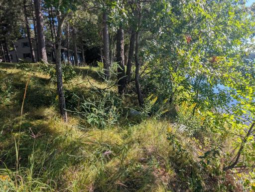 18347 W Adney Lane, Crosby, MN 56441