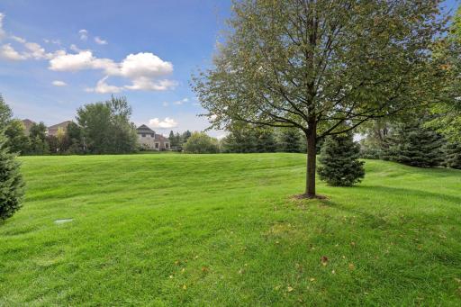 Sited on one of the largest lots in the development, you have clear sunrise views over undisturbed lawn. Beyond your lot is a tranquil pond, with expansive green space beyond.