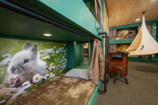 Animal themed bunk beds