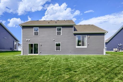 Large Flat Backyard