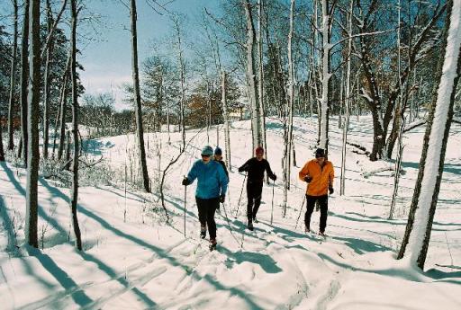 Nordic ski almost 7 miles of trails