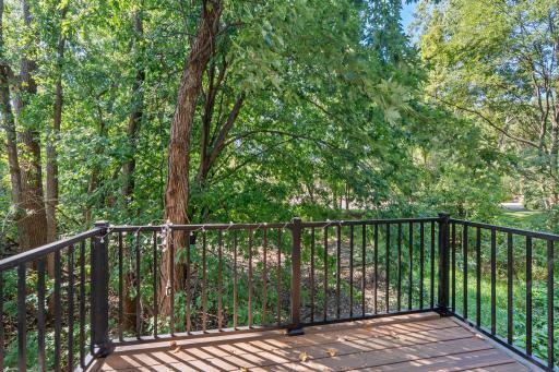 Step outside to enjoy private views of the greenery and wooded space behind the home!