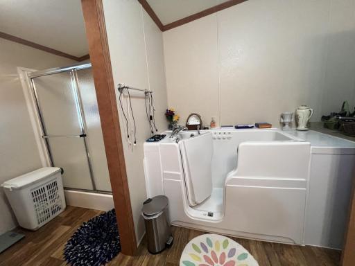 Walk-in shower and Step-in tub