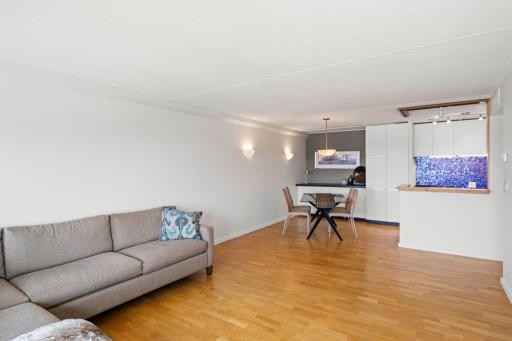 1920 S 1st Street, 2103, Minneapolis, MN 55454