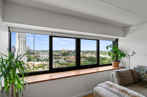 1920 S 1st Street, 2103, Minneapolis, MN 55454