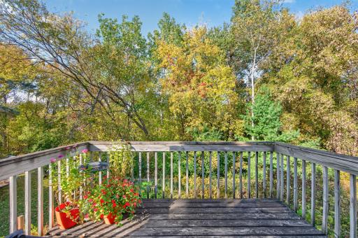 5773 Ridge Creek Road, Shoreview, MN 55126