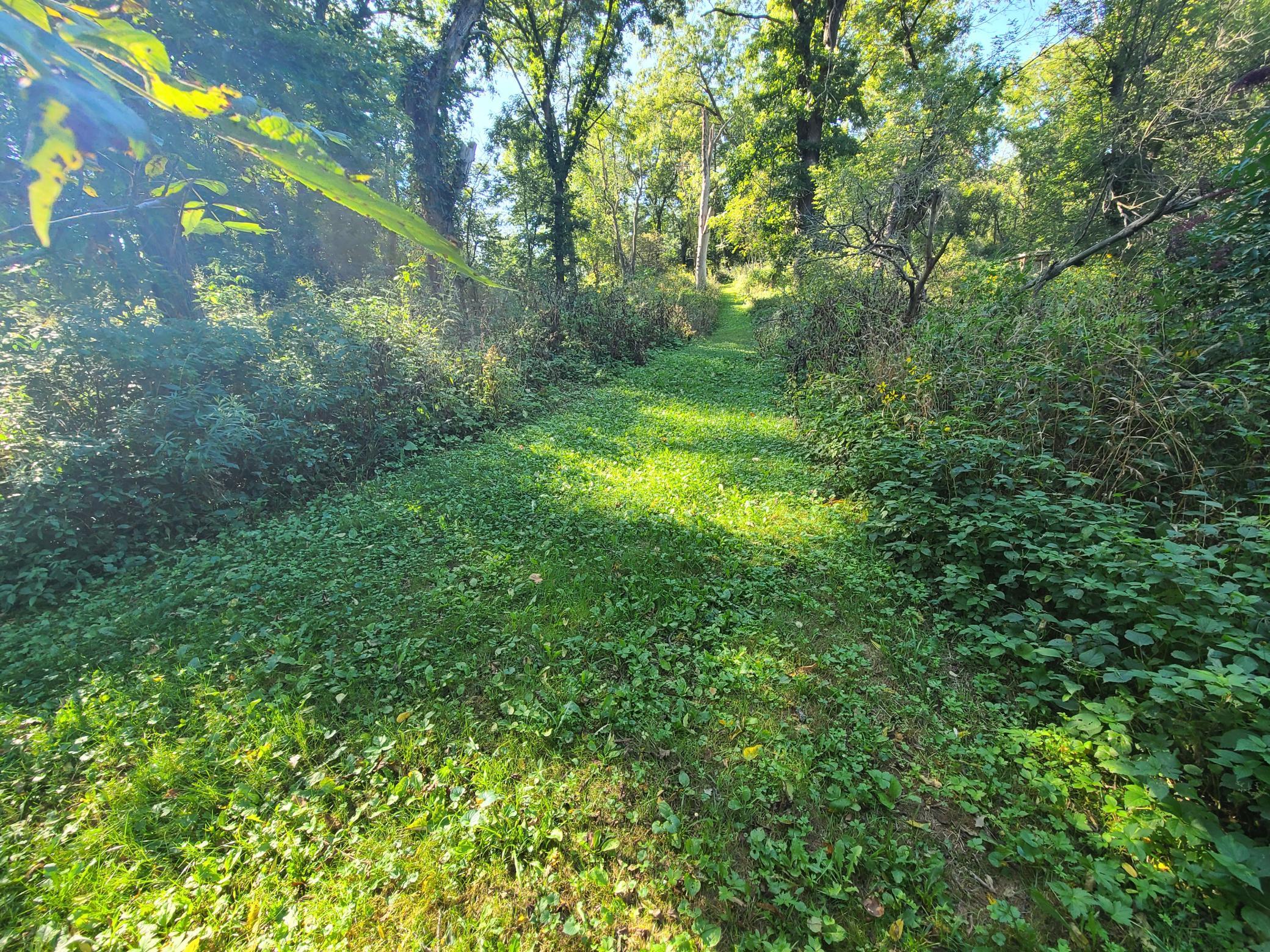 20260902_165043.jpg