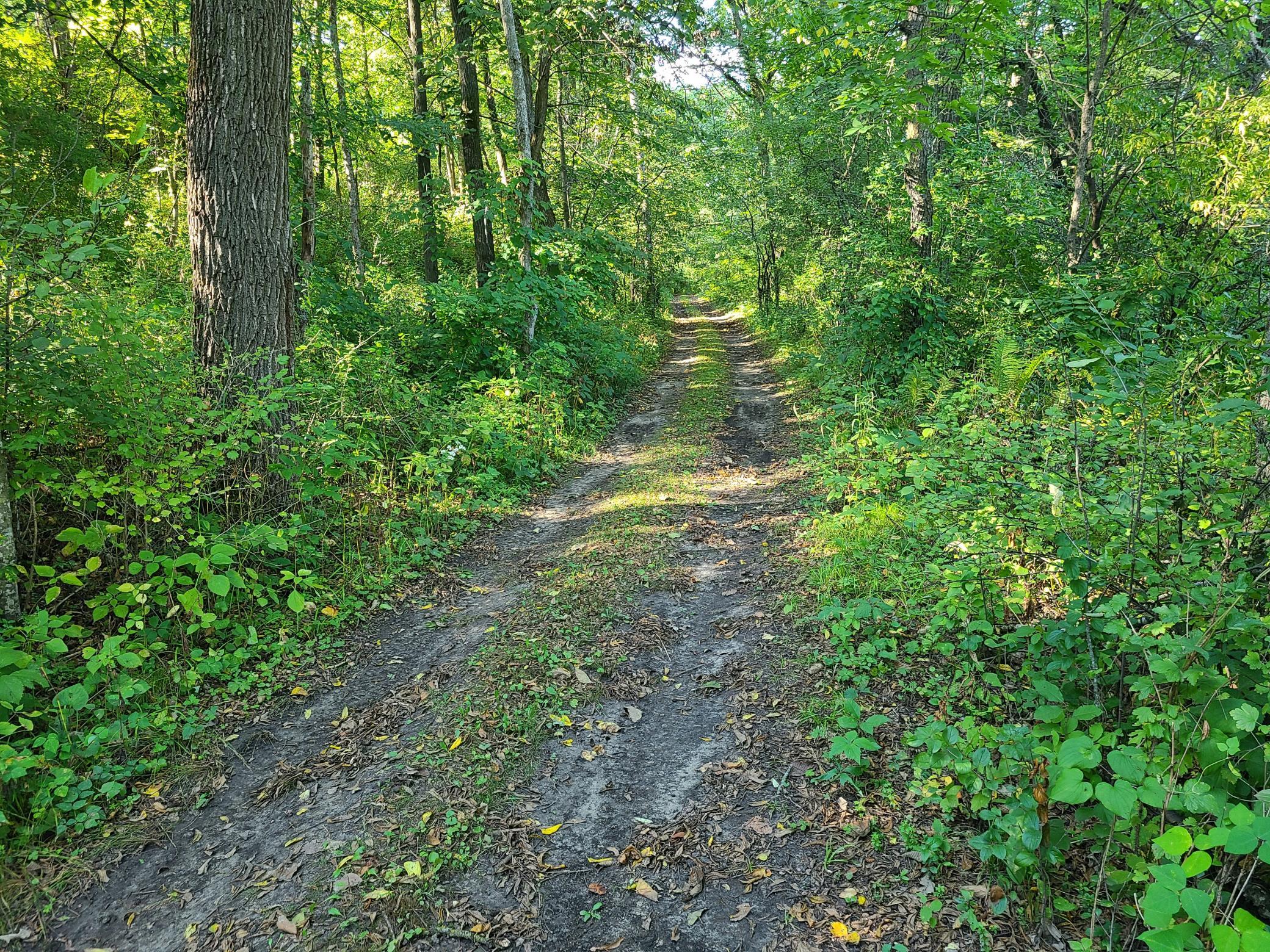 20260902_164059.jpg