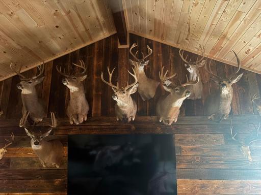 Many of these trophy deer have been harvested on the property
