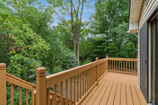 17388 Jaguar Path, Lakeville, MN 55044