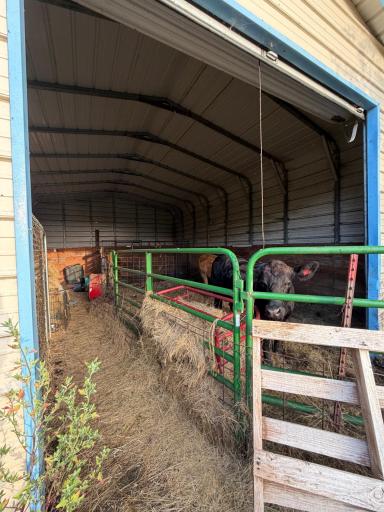 Pole Barn.jpg