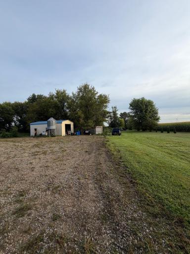 Yard.jpg