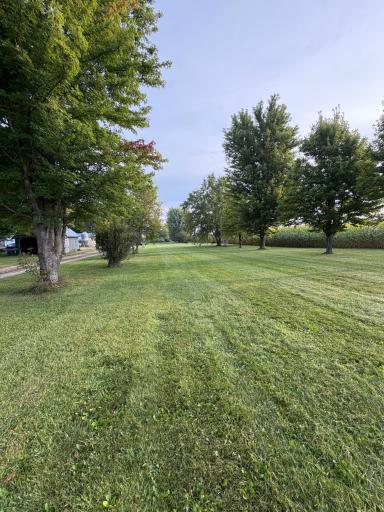 Yard.jpg