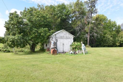 DSC_0101.JPG