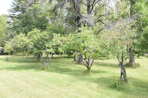 DSC_0104.JPG