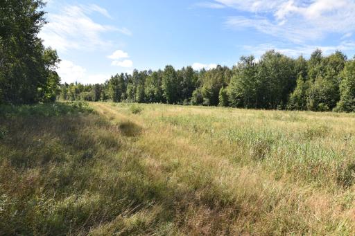 DSC_0126.JPG