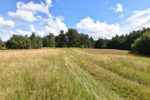 DSC_0140.JPG